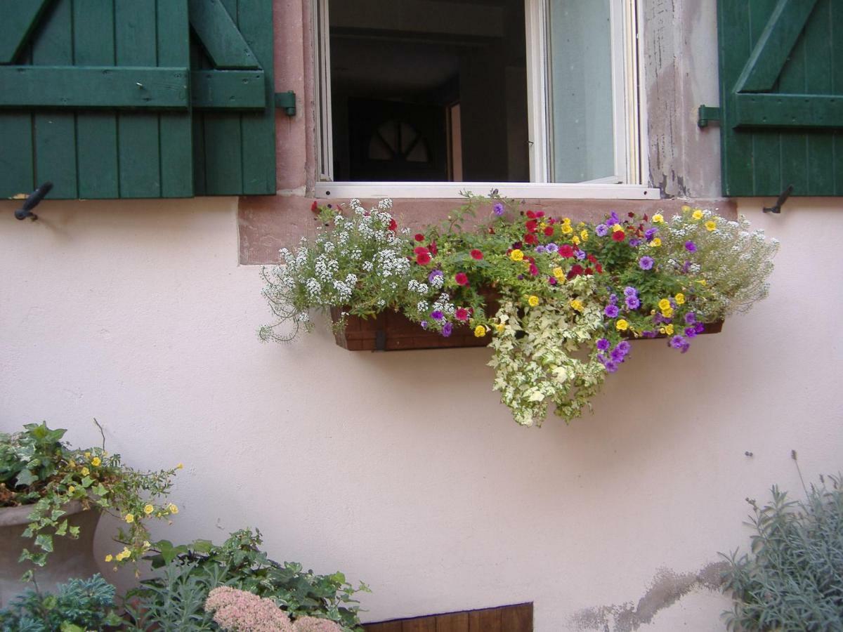 Charmant Petit Appartement En Alsace Bouxwiller  Buitenkant foto