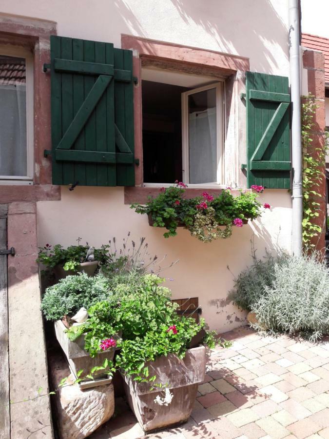 Charmant Petit Appartement En Alsace Bouxwiller  Buitenkant foto